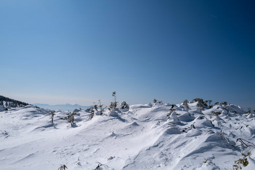 北横岳の厳冬期